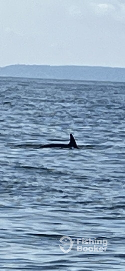 Long Island Report Photo 0