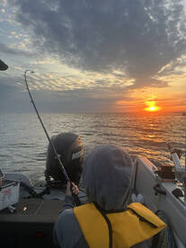 Buffalo Report Photo 2