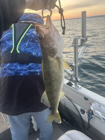 Buffalo Report Photo 1
