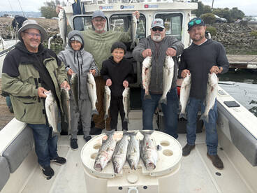Northern California Report Photo 1