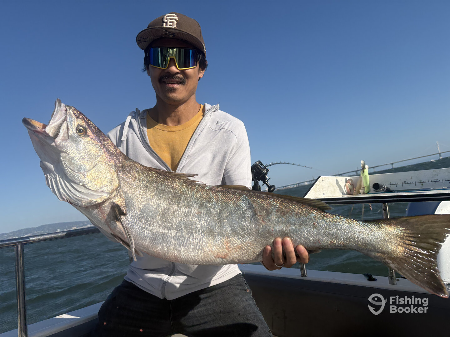 Northern California Report Photo 0