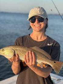 Apalachicola Bay Report Photo 1