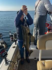 Salmon biting and sun shining