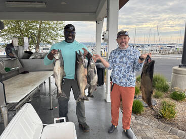 Repeat clients, repeat results. Plus 1!