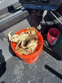 Oregon Report Photo 2