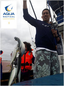 Durban Report Photo 1