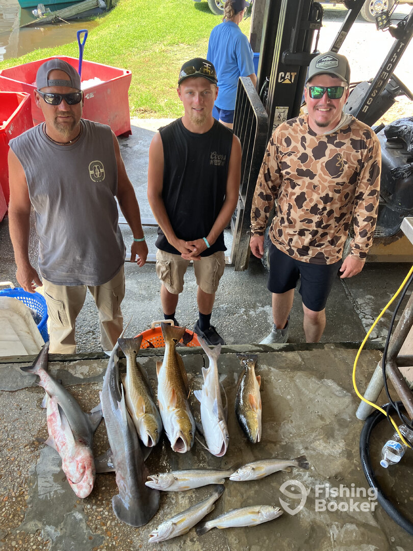 Gulf Shores Report Photo 0