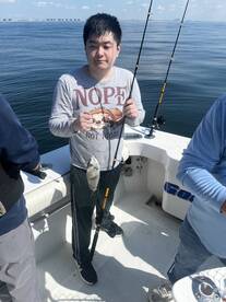 New York City Report Photo 2