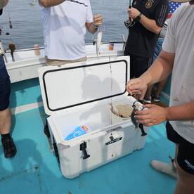 Solomons Report Photo 1