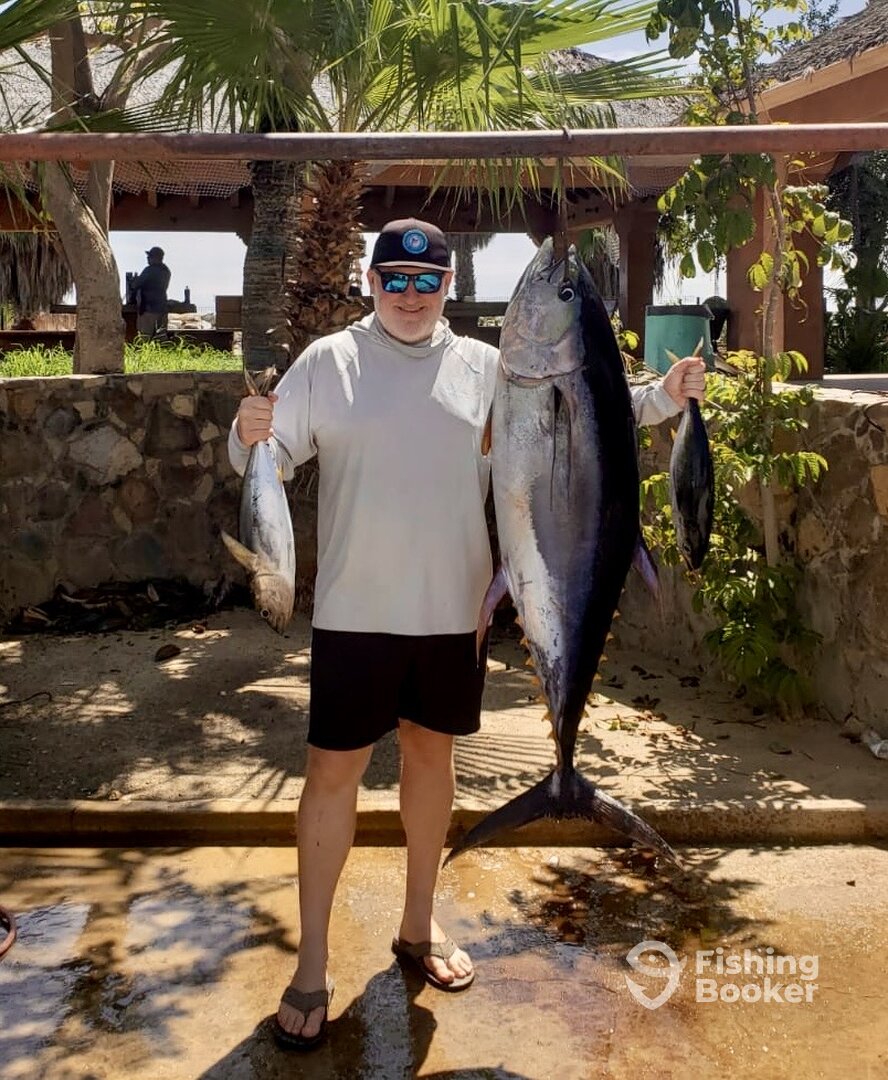 San Jose del Cabo Report Photo 0