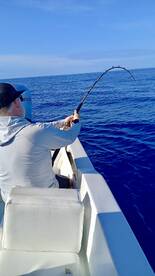San Jose del Cabo Report Photo 2