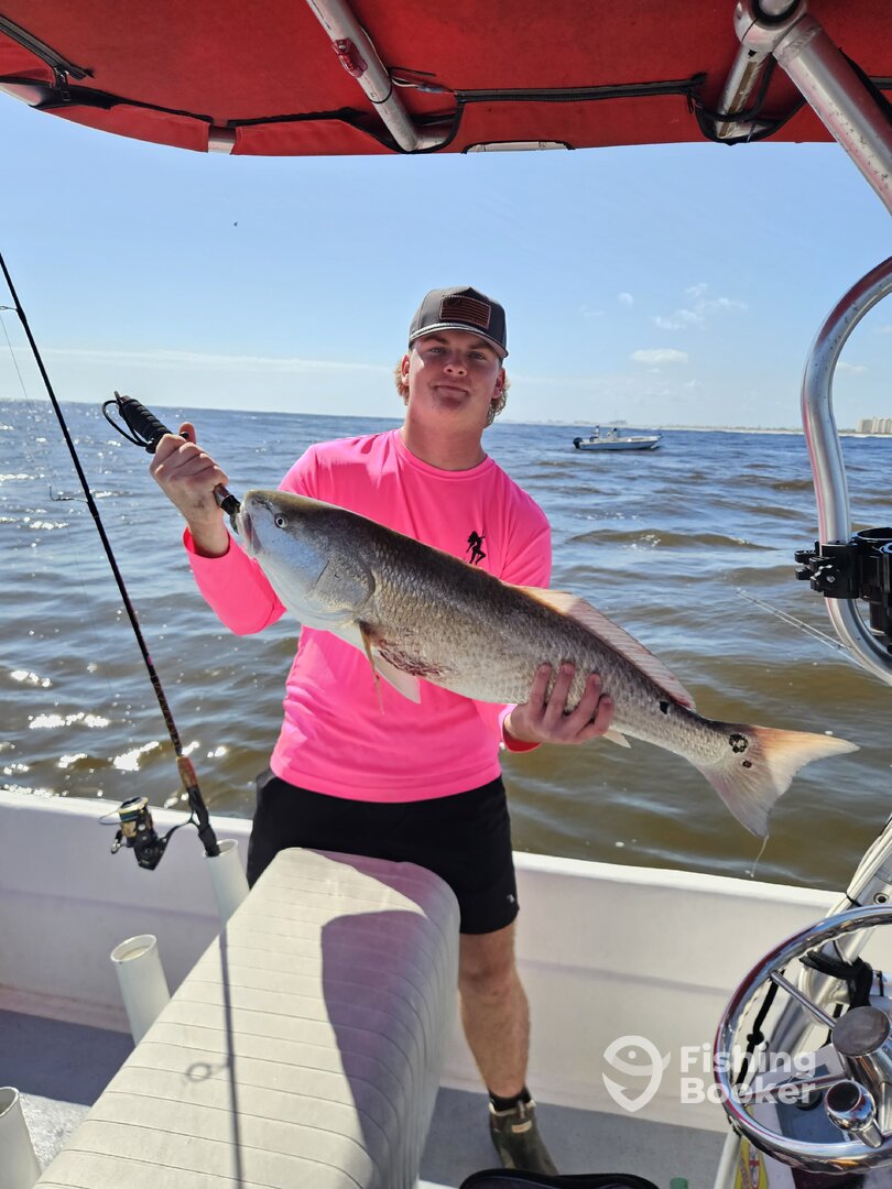 Port Orange Report Photo 0
