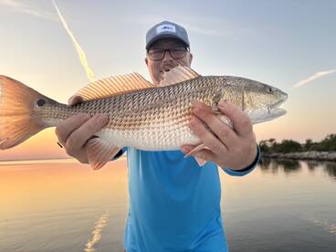 New Orleans Report Photo 1