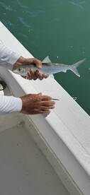 Fajardo Report Photo 2