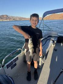 Lake Havasu City Report Photo 1