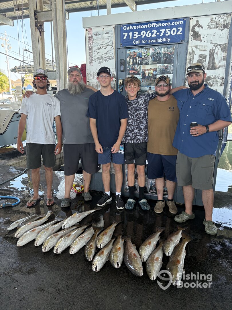Galveston Report Photo 0