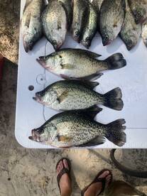 Sam Rayburn Report Photo 1