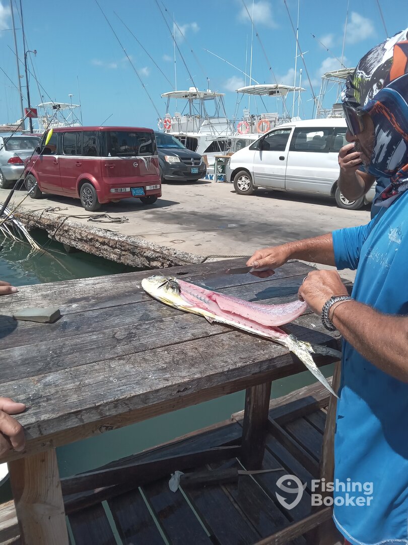Aruba Report Photo 0