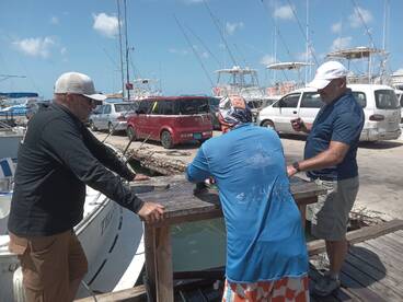 Aruba Report Photo 1