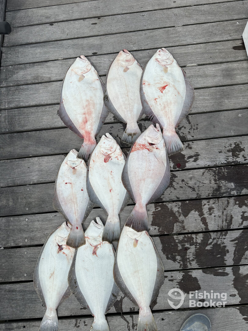 Cape May Report Photo 0