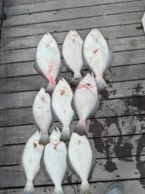 September limits