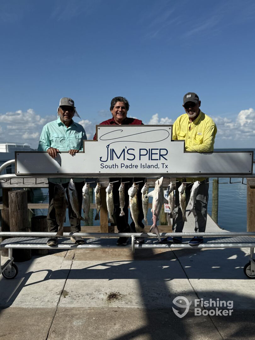 South Padre Island Report Photo 0