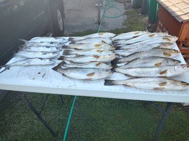 Crystal River Report Photo 1