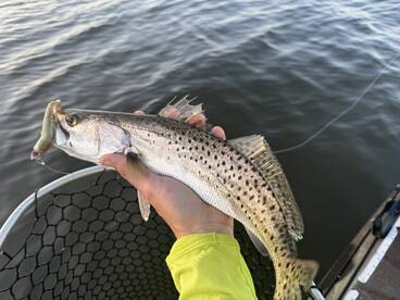 Treasure Coast Report Photo 4