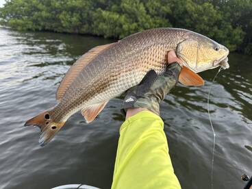 Treasure Coast Report Photo 3