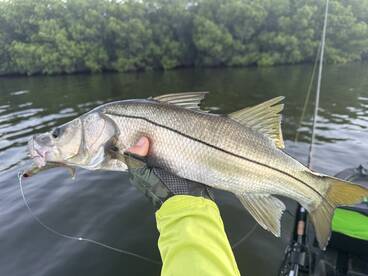 Treasure Coast Report Photo 2