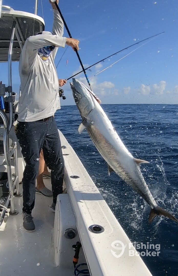 San Juan Report Photo 0