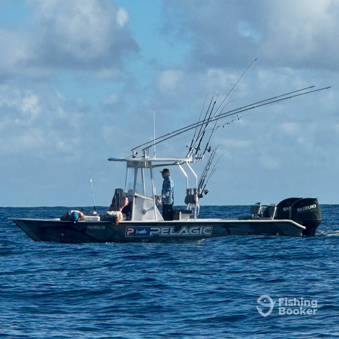 San Juan Report Photo 0