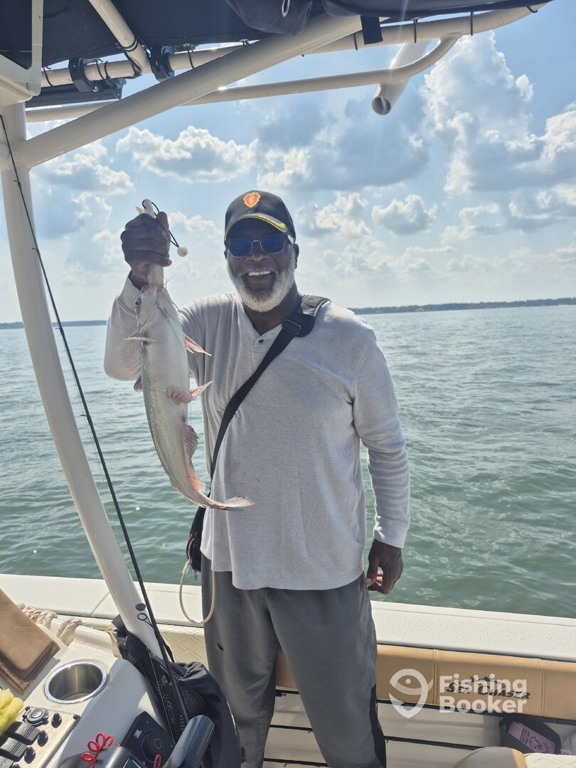 Willis Report Photo 0