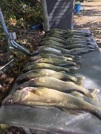 Lake Erie Report Photo 2