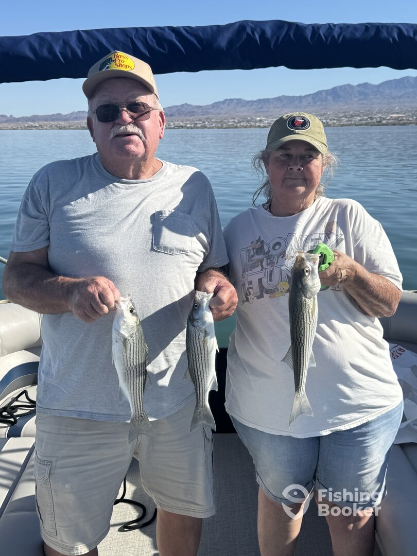 Lake Havasu City Report Photo 0