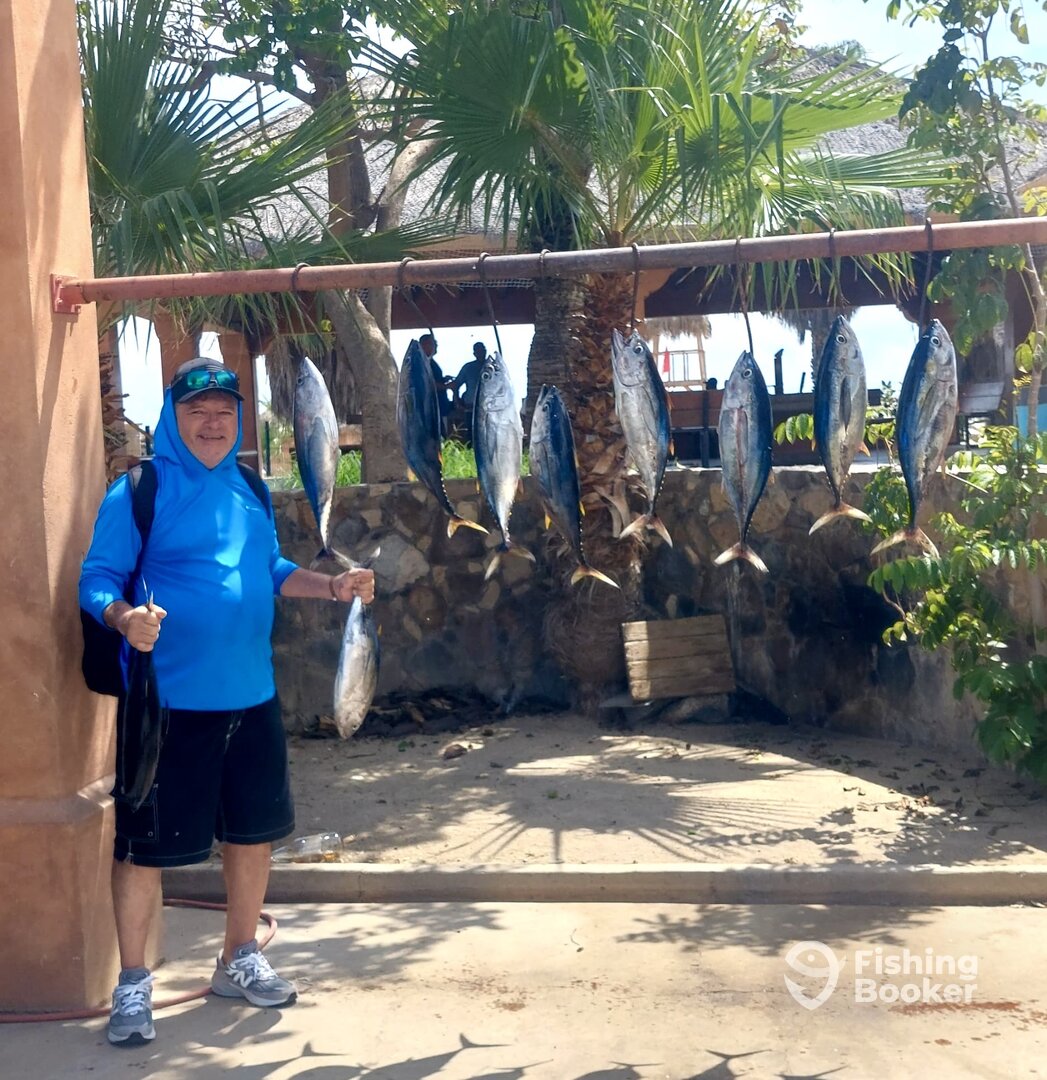 San Jose del Cabo Report Photo 0