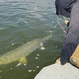 West Livingston Report Photo 1