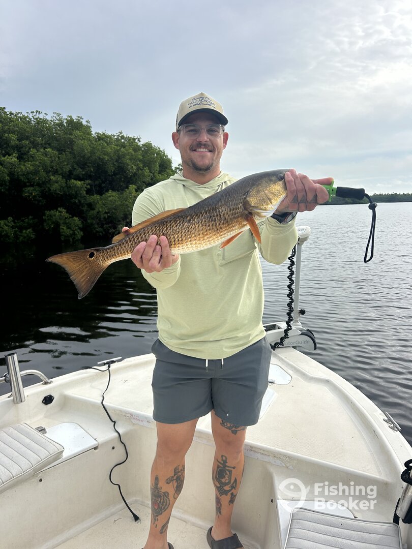 Punta Gorda Report Photo 0