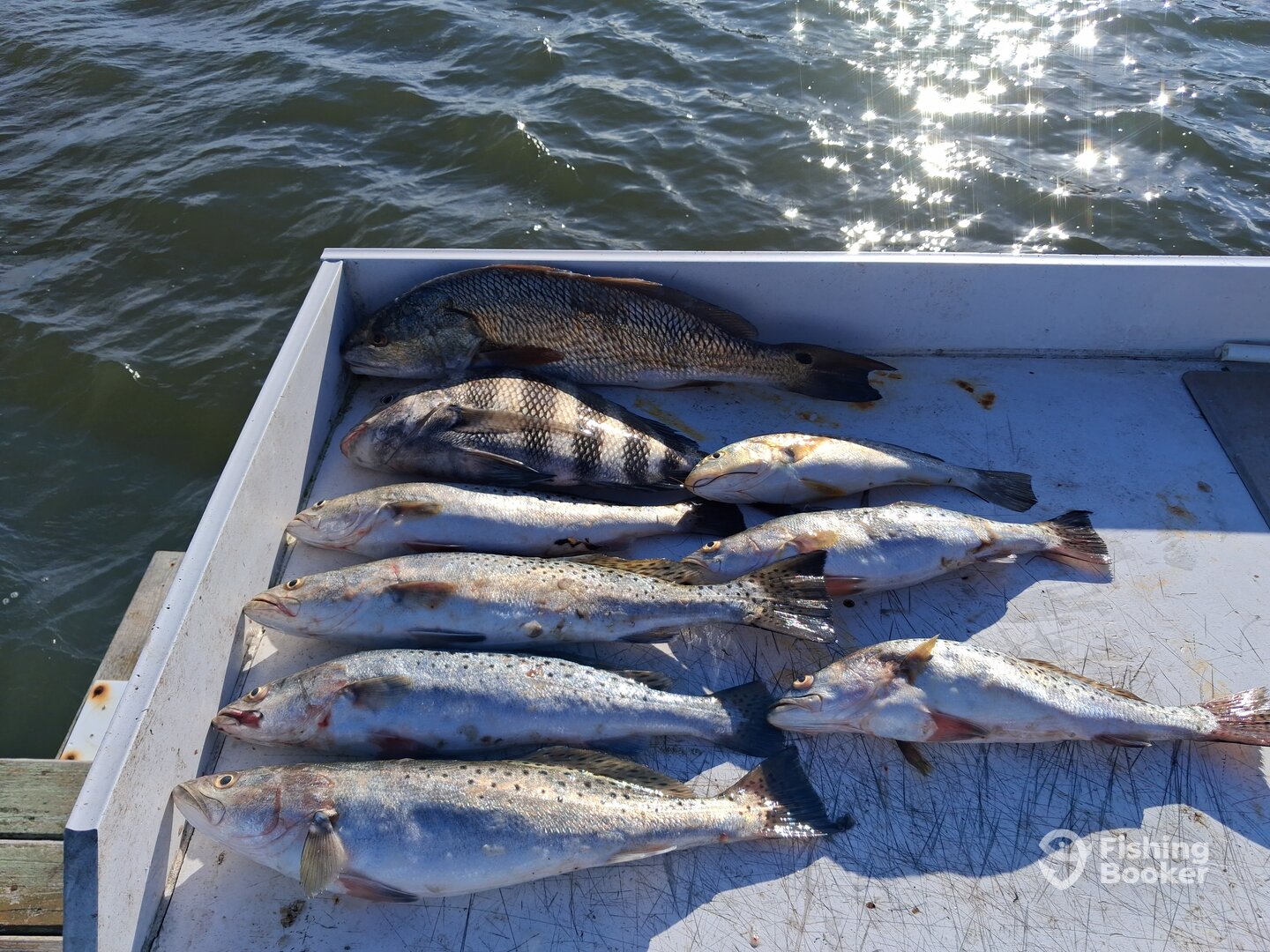 Sneads Ferry Report Photo 0