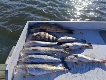 Sneads Ferry Report Photo 1