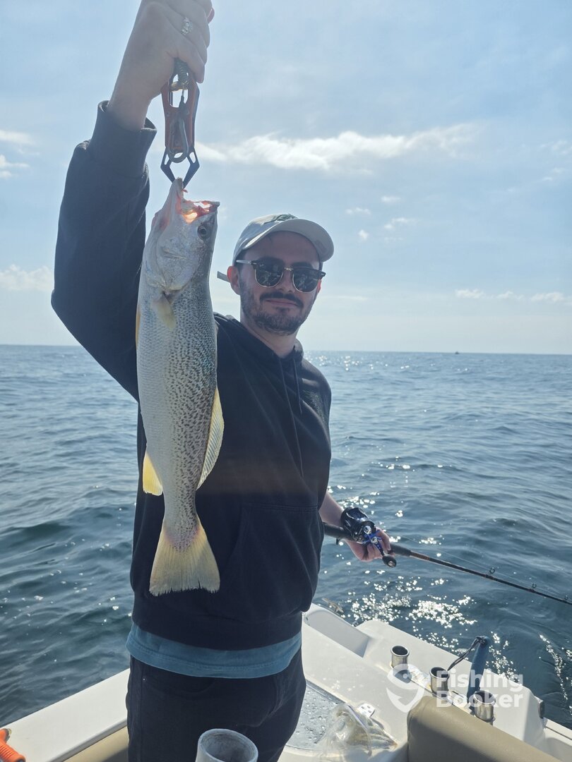 5lb Weakfish