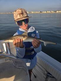 Murrells Inlet Report Photo 2