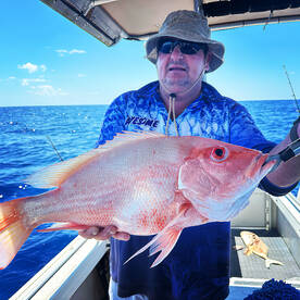 Port Douglas Report Photo 1