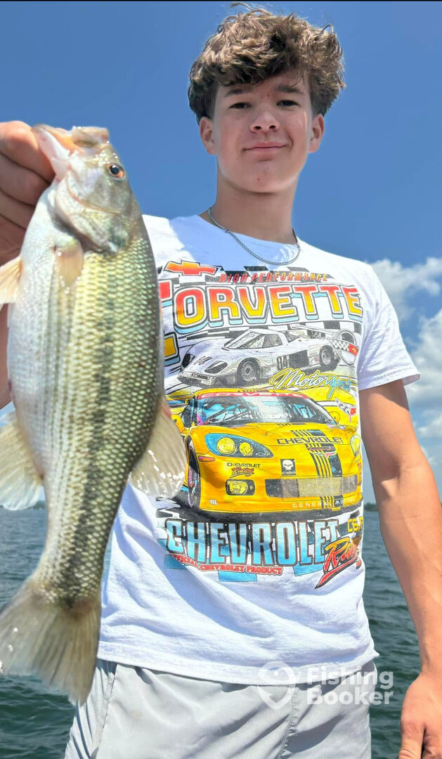 Carroll County Report Photo 0
