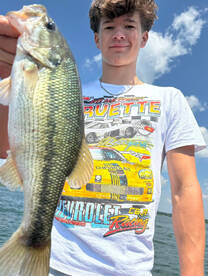 Carroll County Report Photo 1