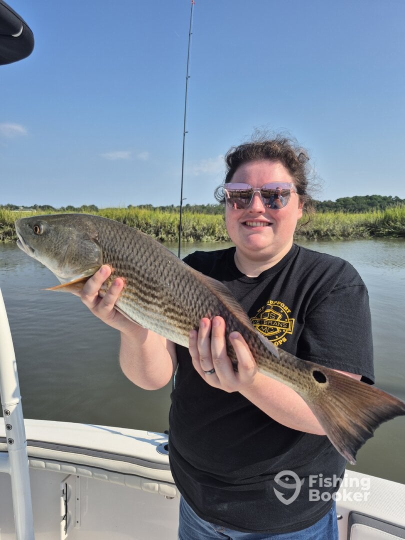 Hilton Head Island Report Photo 0