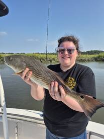 Hilton Head Island Report Photo 1