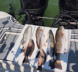 Summer is over but the fishing is still
