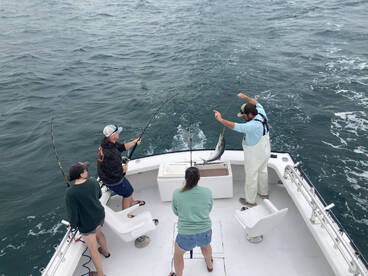 Roanoke Island Report Photo 3