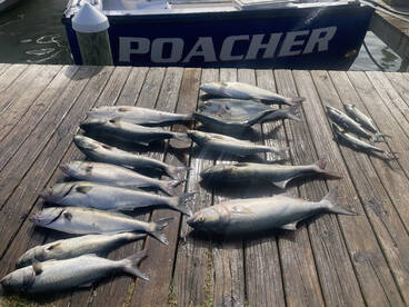 Roanoke Island Report Photo 1